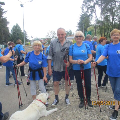 VI  OGÓLNOPOLSKI   MARSZ  NORDIC  WALKING