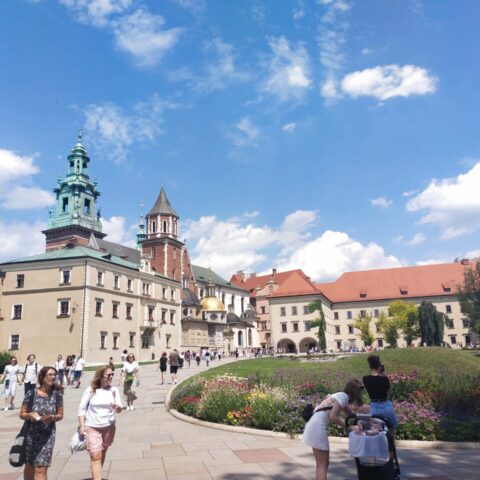 Automatycznie zapisany szkic