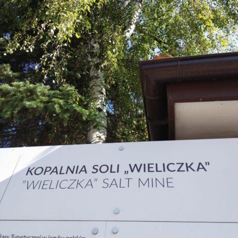 Automatycznie zapisany szkic