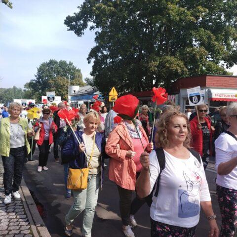 SENIORALIA   W  KOŁOBRZEGU