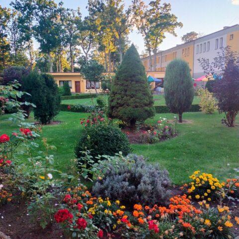 REHABILITACJA  NAD  MORZEM.....