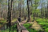 Park Narodowy "Ujście Warty" i Twierdza Kostrzyn - wycieczka jednodniowa - 15.10